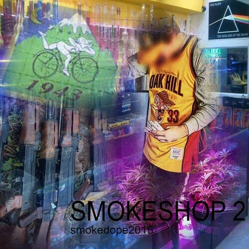 SMOKESHOP 2